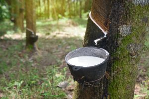 The History of Natural Rubber - bfs Pressroom Solutions